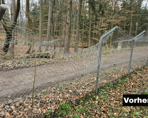 zaunreparatur-maschendrahtgeflecht-verzinkt-metallbau-augsburg Reparatur eines Maschendrahtzauns mit erneuertem verzinktem Geflecht