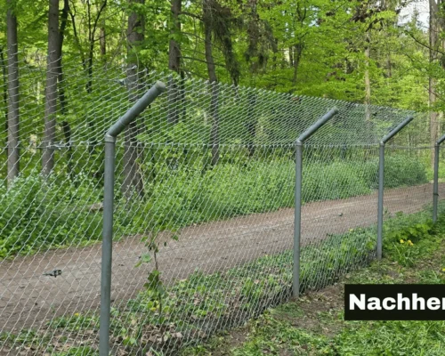 zaunreparatur-stuetze-schrägstrebe-metallbau Austausch einer Zaunstütze mit neuer Schrägstrebe bei Zaunreparatur